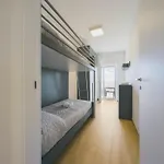 Pamar * Civitanova Marche